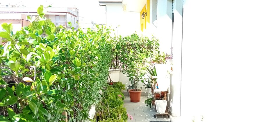 NETTUNO APPARTAMENTO IN AFFITTO IN VIA MONTE BIANCO 20